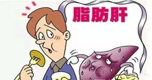 脂肪肝必须要喝中药吗,脂肪肝要终身服药吗