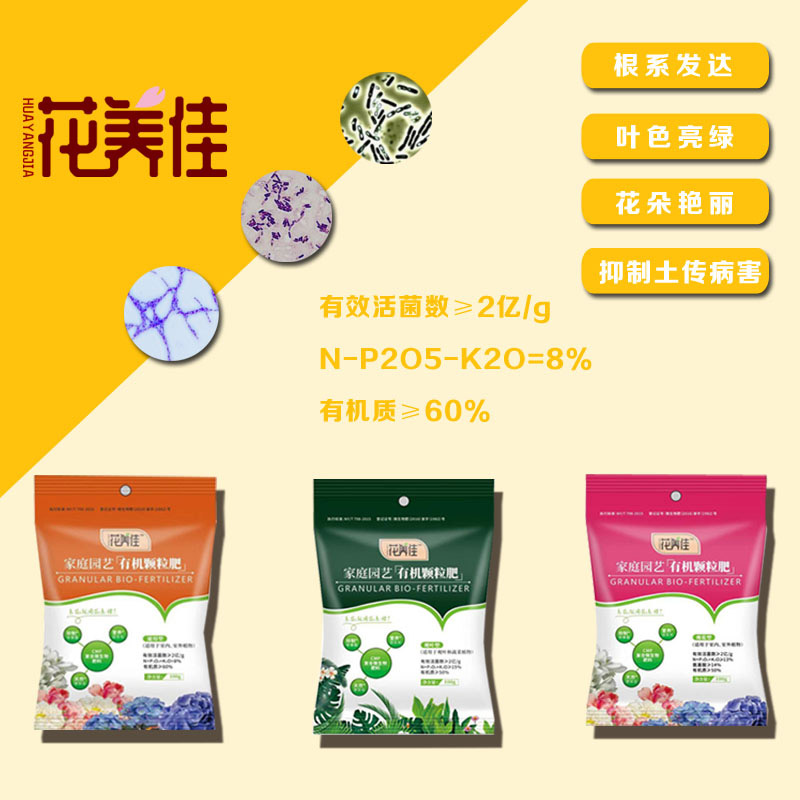 虹之玉盆栽怎样种植,虹之玉的养殖方法与扦插