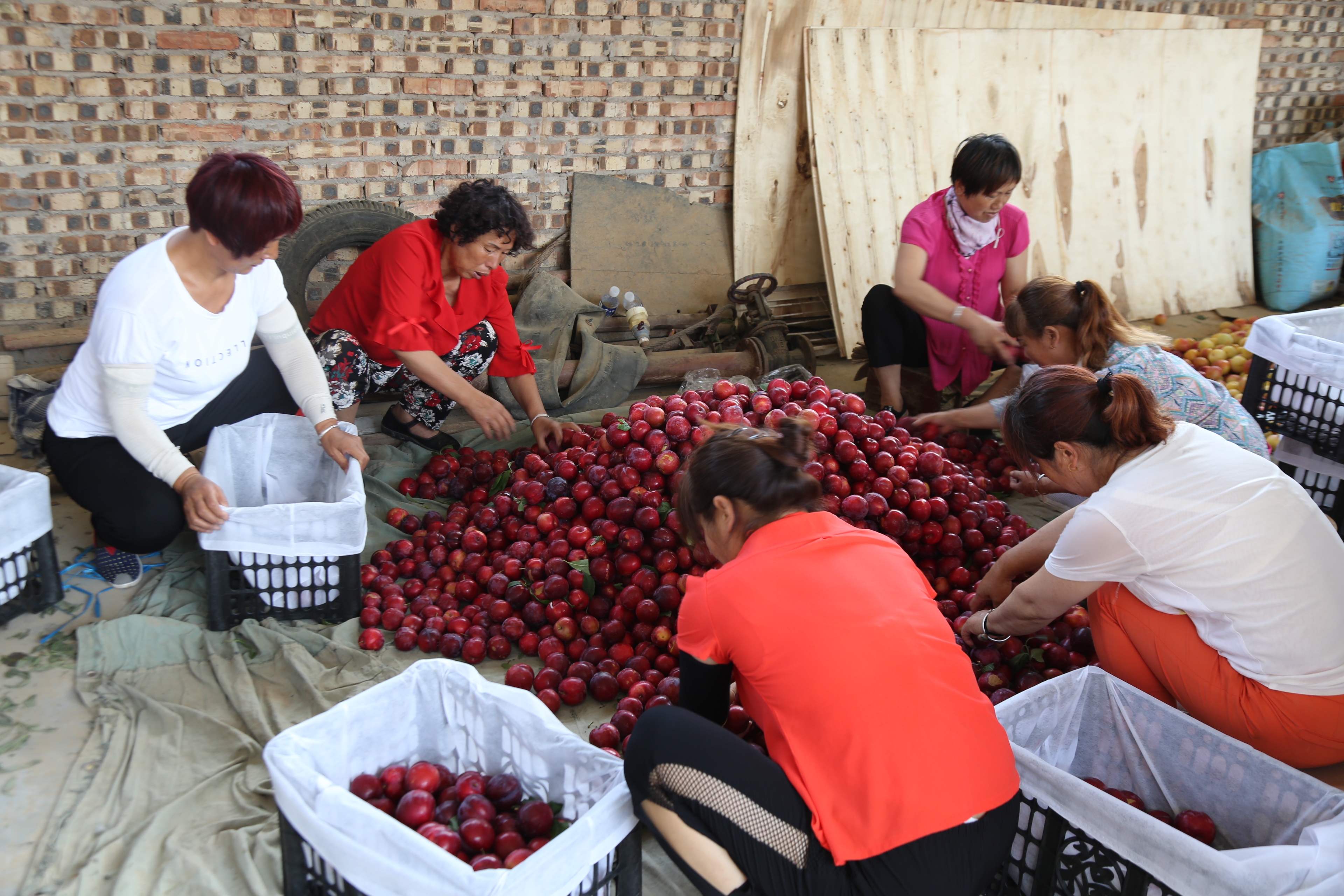 吉祥三宝代县,吉祥三宝柳林村图片