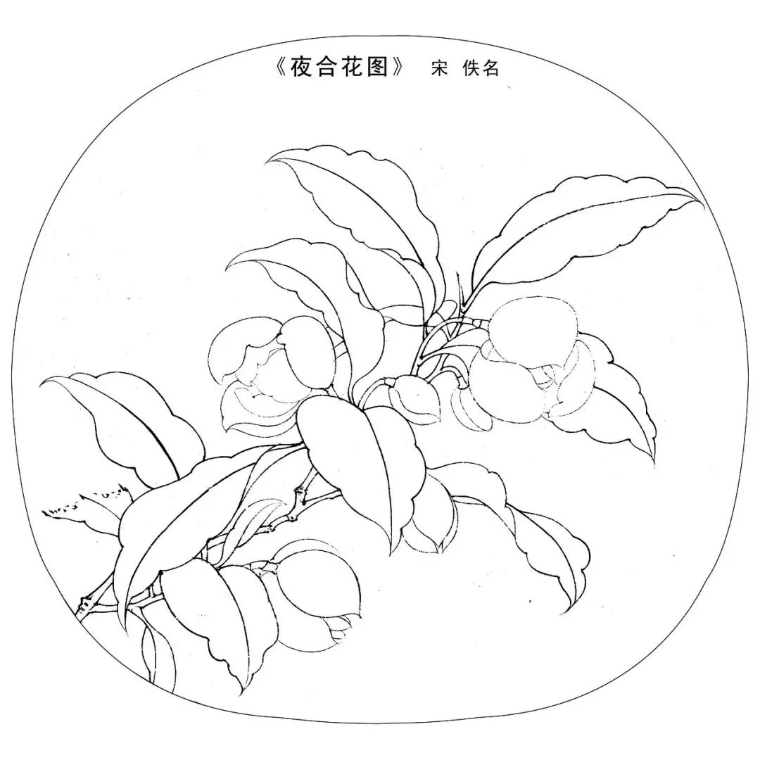 宋人工笔白描,宋人小品花鸟工笔白描高清图