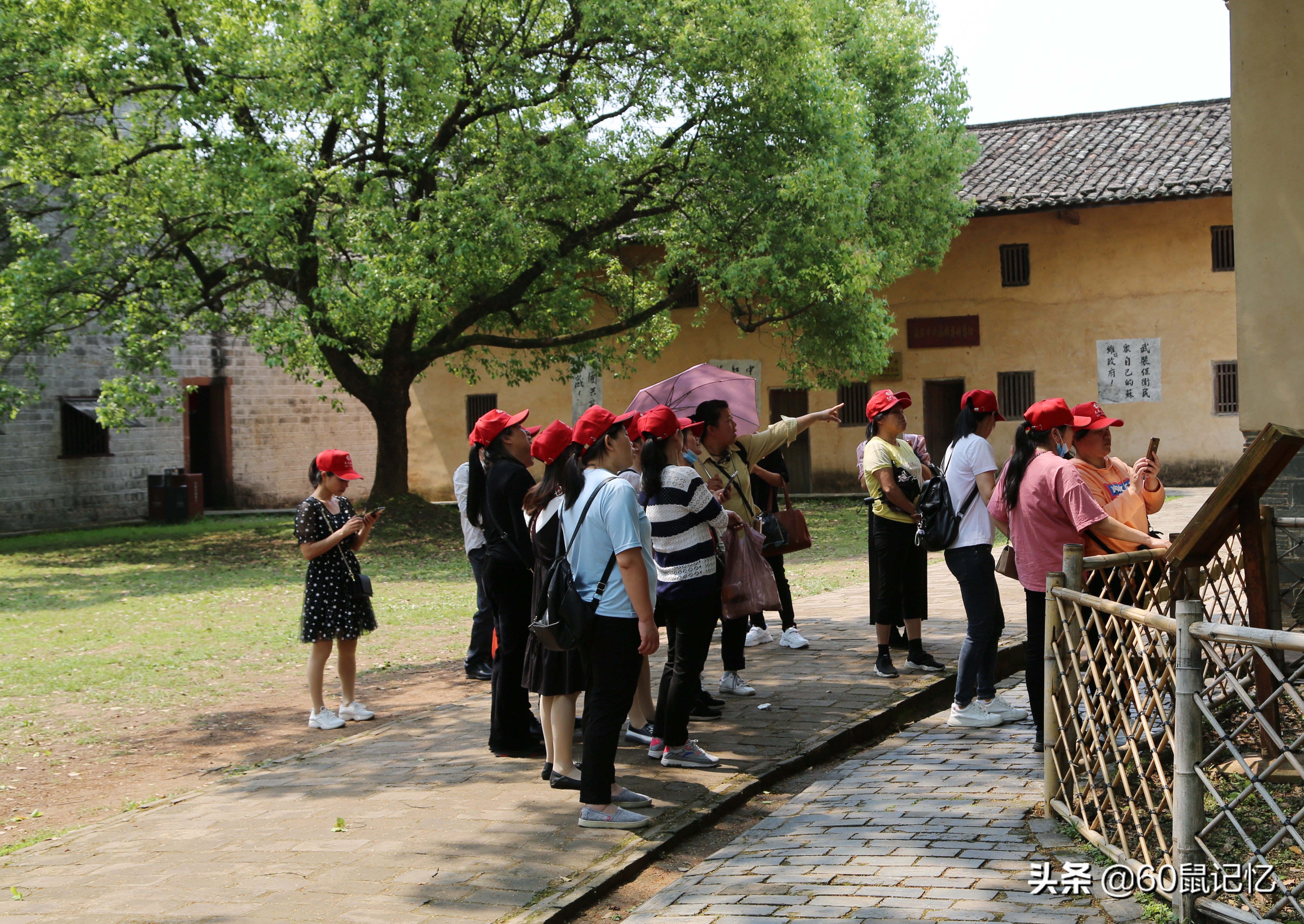 红色旅游瑞金景点,瑞金红色旅游文化打卡地