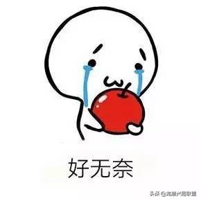 从零开始玩海缸的方法,从零开始玩海缸全过程