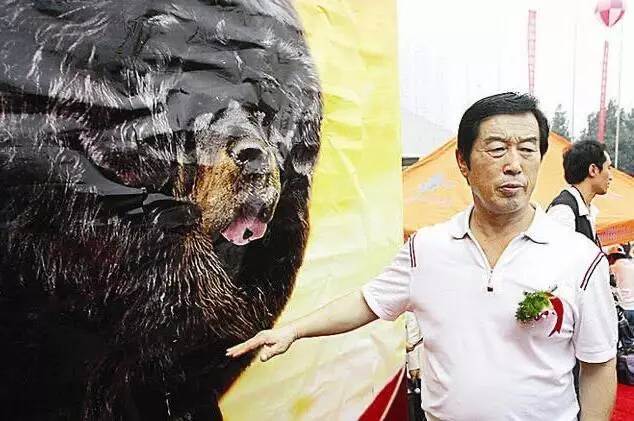 藏獒市场的兴起和崩塌,藏獒从身价不菲到沦为狗肉