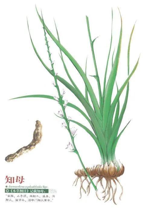 过敏性鼻炎效果最快的药,过敏性鼻炎用药效果一览表