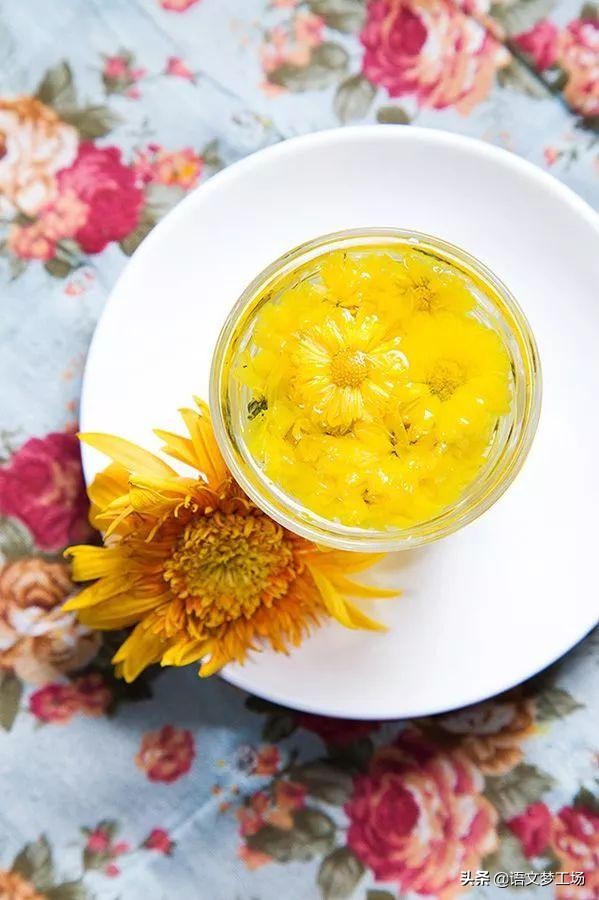 经典作文素材100字,经典素材作文500字