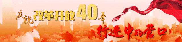 穿越40年感受南山之美,穿越四十年的旅行