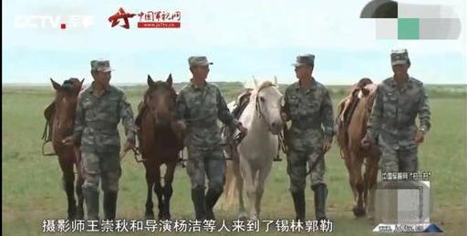 白龙马惨死最后怎么解决的,白龙马惨死事件