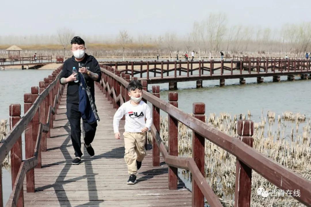 天津将新添一座公园预计开放时间,天津即将开放的公园在哪里