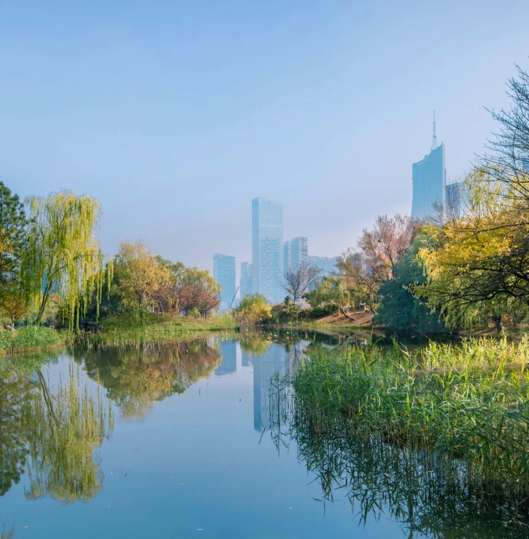 安徽省合肥市天鹅湖,安徽合肥的天鹅湖