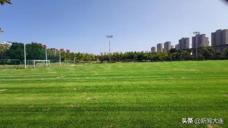 赏秋不必远行！大连这些地方美得正当时