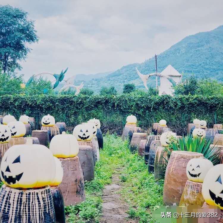 品子午樱桃，游千年古镇