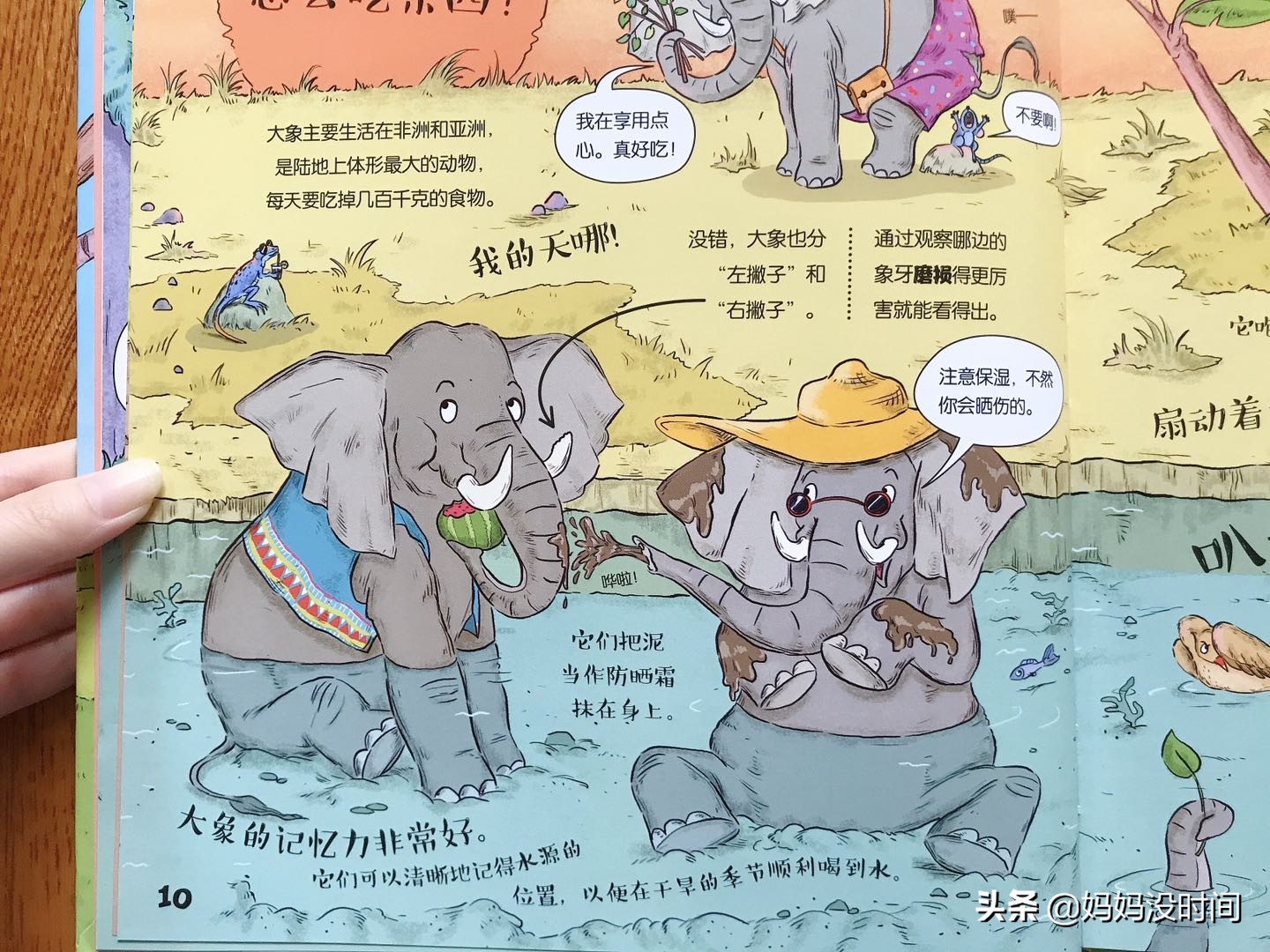 用绘本开启孩子哲学思维,如何通过看绘本提高孩子思维能力