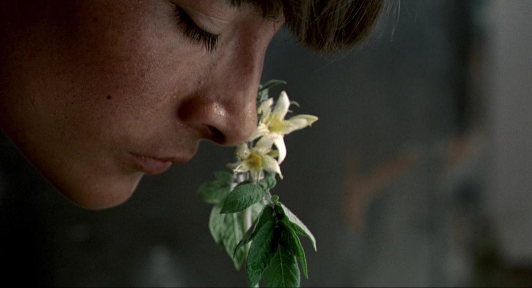 贞洁对一个女人重要吗？这部电影给予女孩启示