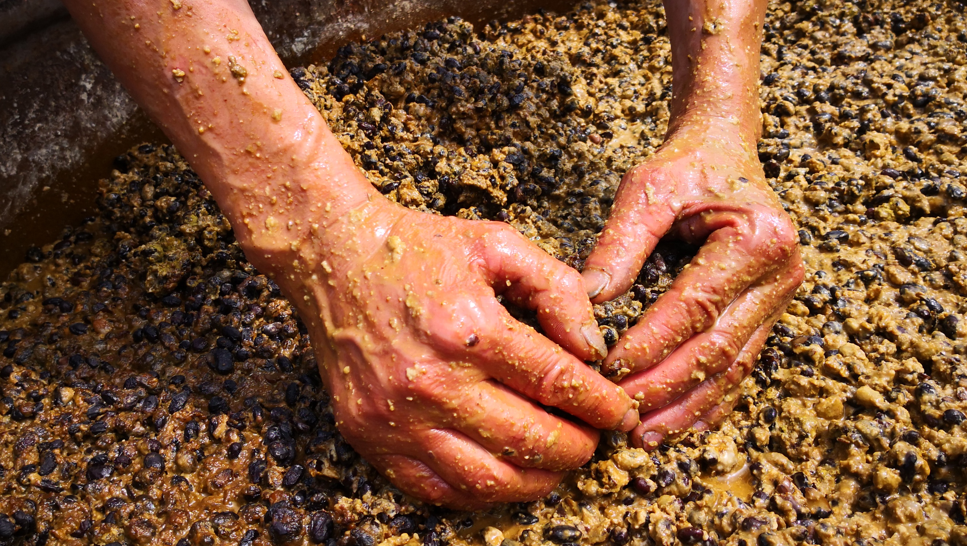 豆酱味道太大了,一瓶黄豆酱