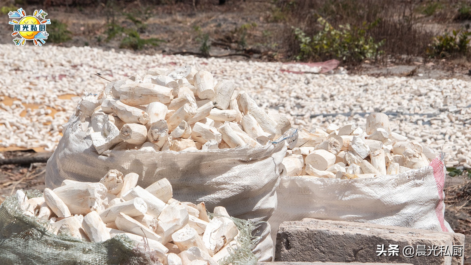 做马蹄糕可以用木薯粉代替马蹄粉,马蹄糕的马蹄粉可用木薯粉代替吗