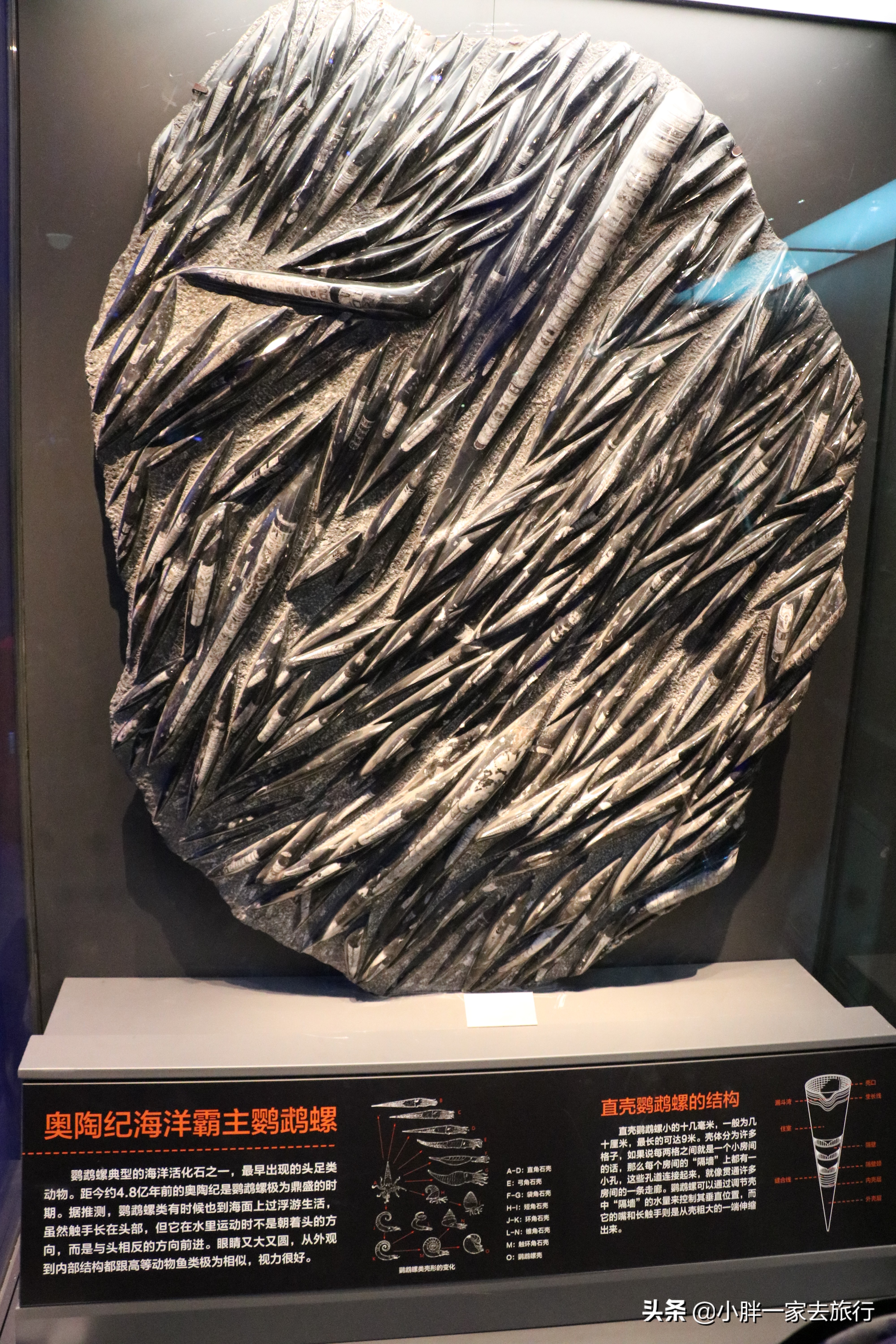 最大的北京海洋博物馆,海上故宫国家海洋博物馆