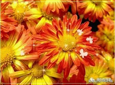 有一种深爱,叫不再联系!值得一读