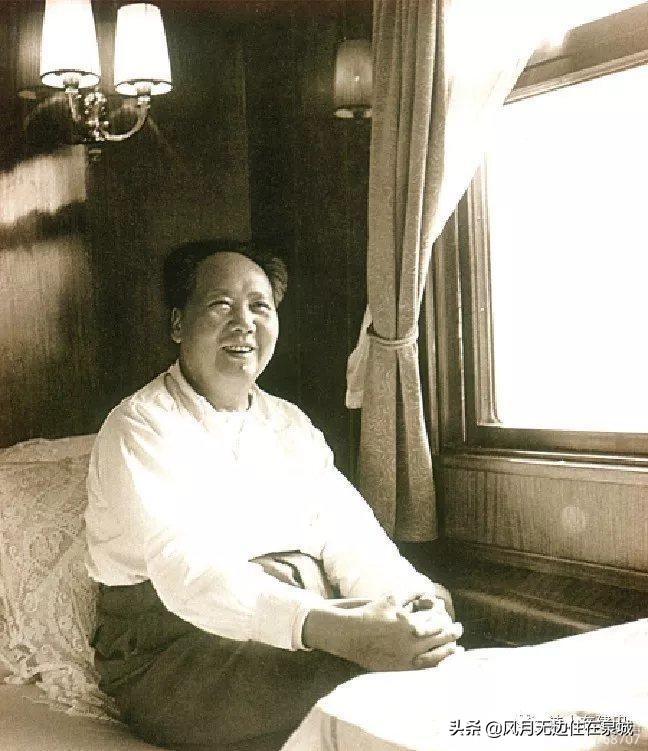 济南的法国梧桐,济南梧桐树美景