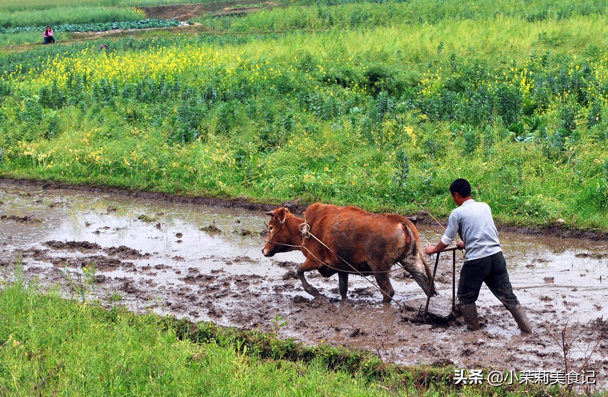 古语饿死不耕丈人田,饿死不耕丈人田意味着什么