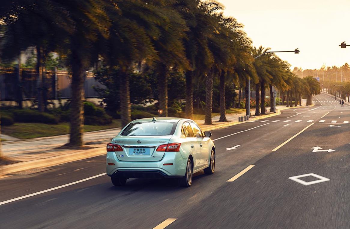 新能源时代的逐浪者，访网约车经营者实录