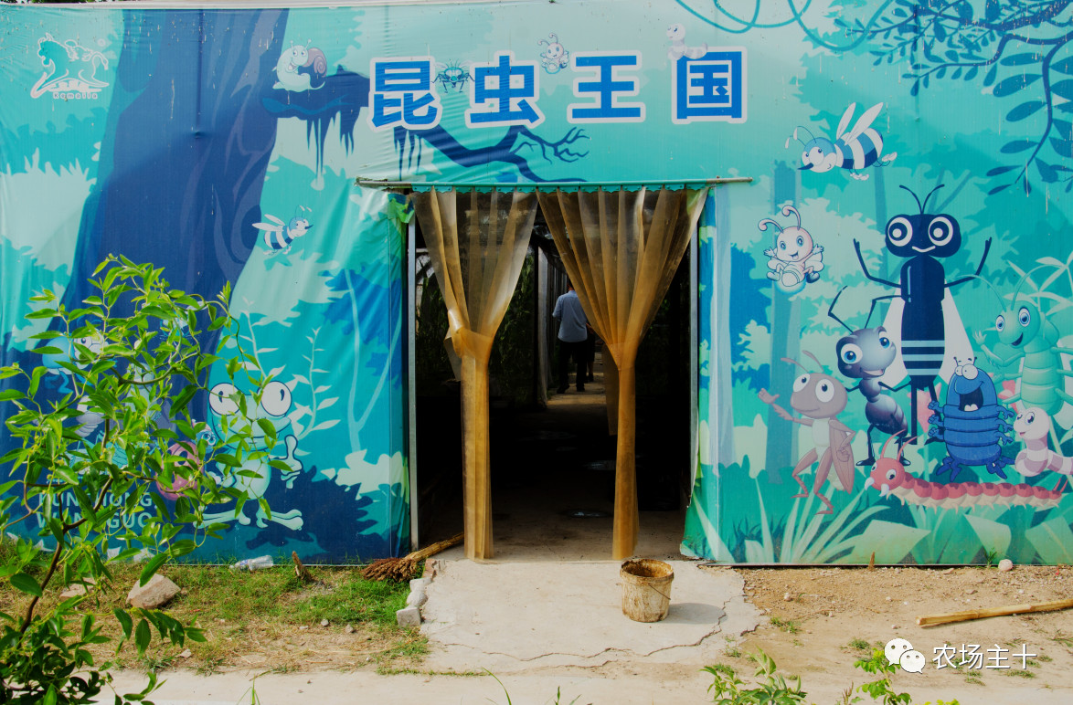 从乞丐到身价200万仅用一年时间,从乞讨到名相的传奇人生