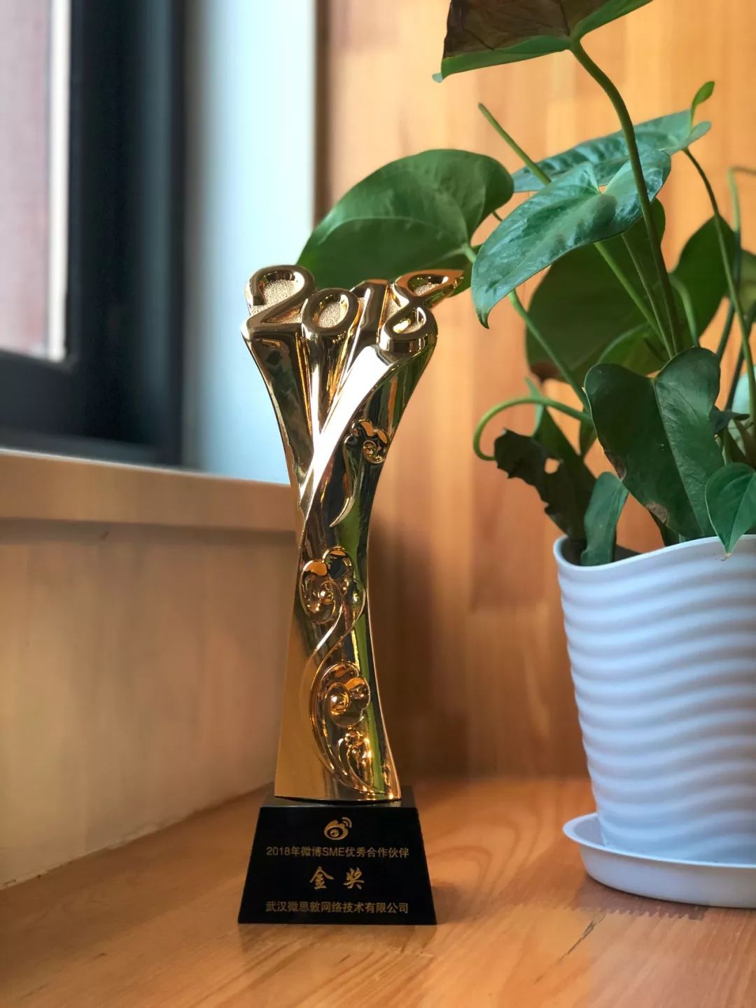 笑傲寒冬丨微思敦蝉联“2018年微博优秀合作伙伴金奖”