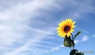 倾情托起未来的蓝天——启迪心智幼儿园的一节课