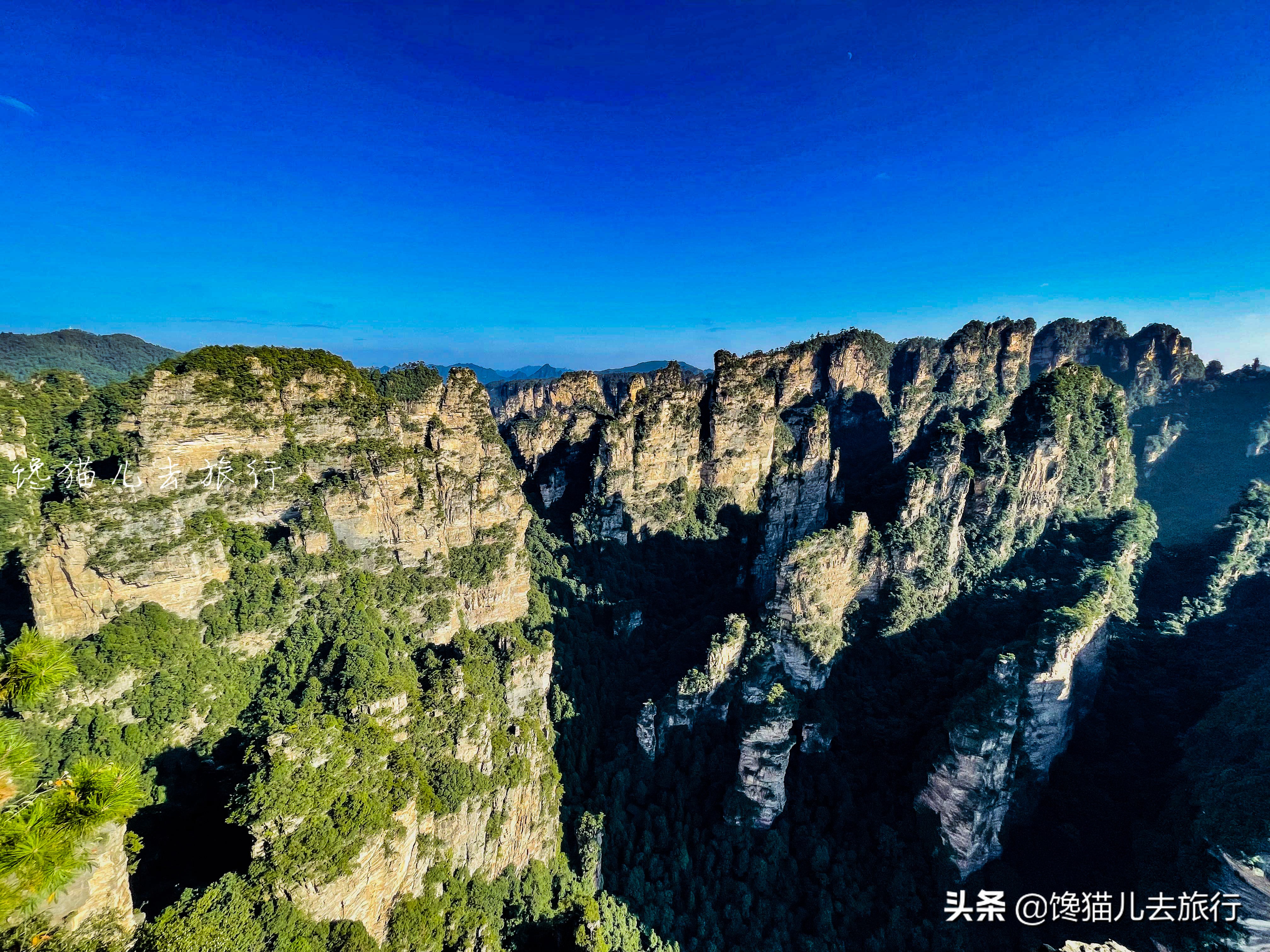 张家界旅游计划行程表模板,暑假旅游张家界攻略路线图简单版