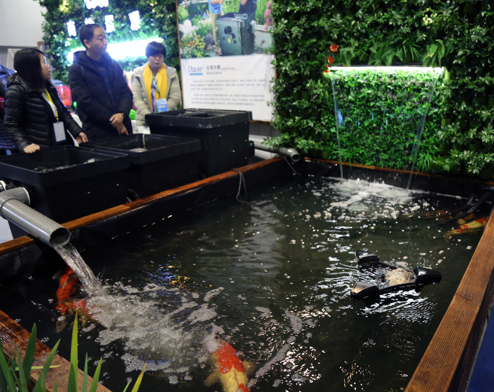 第二届江苏省园艺博览会,南京园林园艺展览会展期