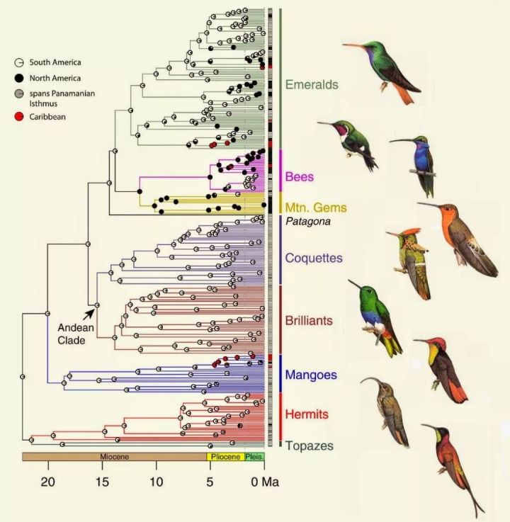 鍙樺紓铚傞笩,铚傞笩鍙樺紓