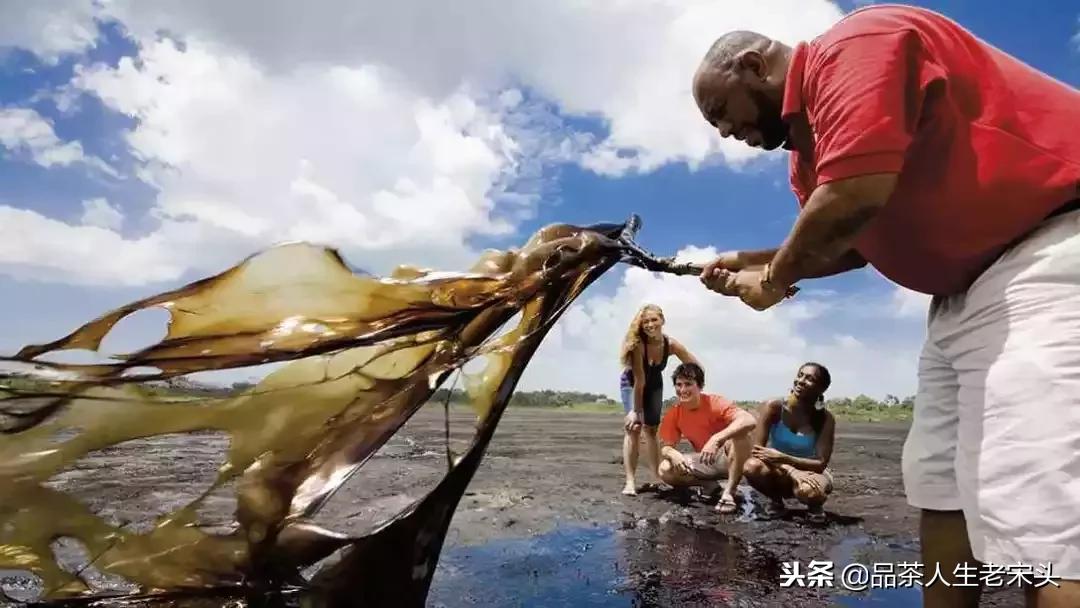 最新世界十大“怪”,最后一个太绝了!