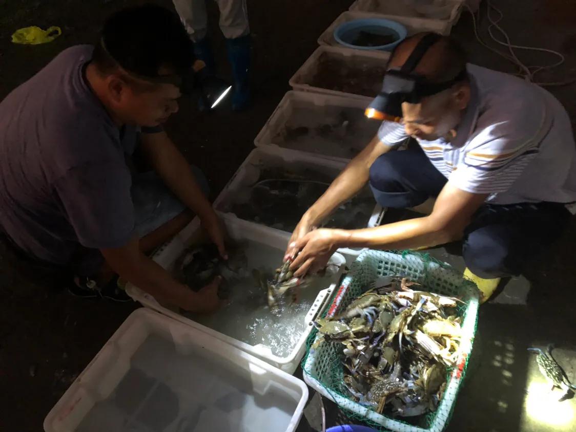 企沙海港小镇,企沙网红小镇叫什么