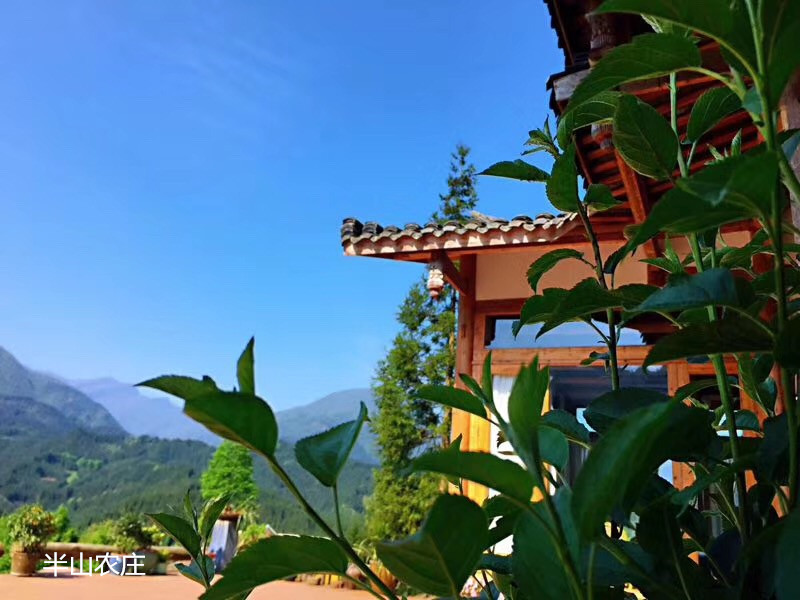 半山田园休闲农庄,半山农庄德江