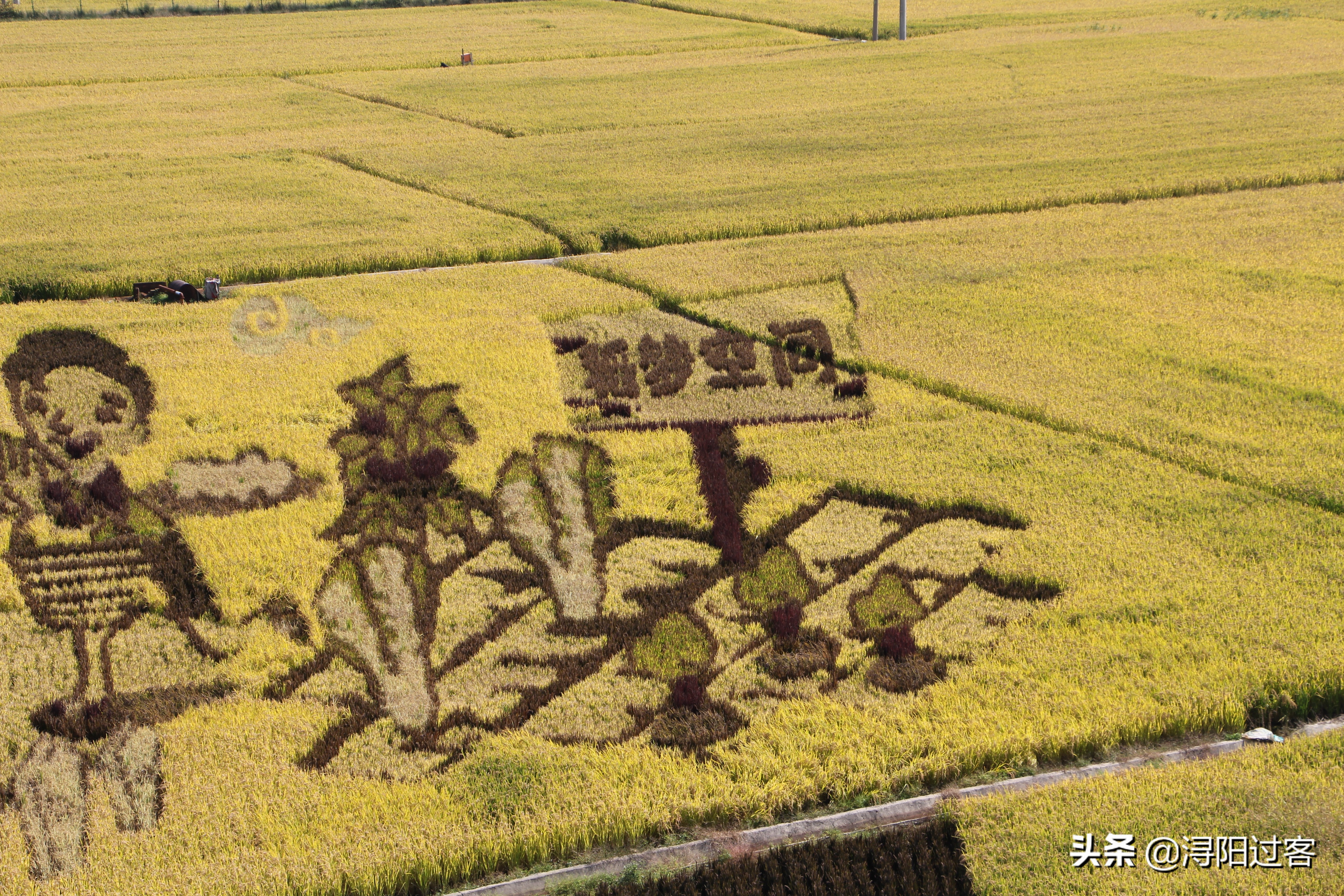 沈阳稻梦空间小火车,沈阳稻梦空间怎么样