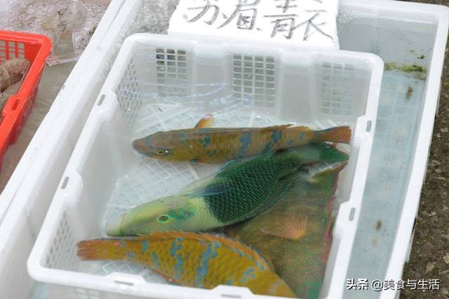 中国十大顶级大型海鲜市场在哪里,全国各大海鲜市场现状