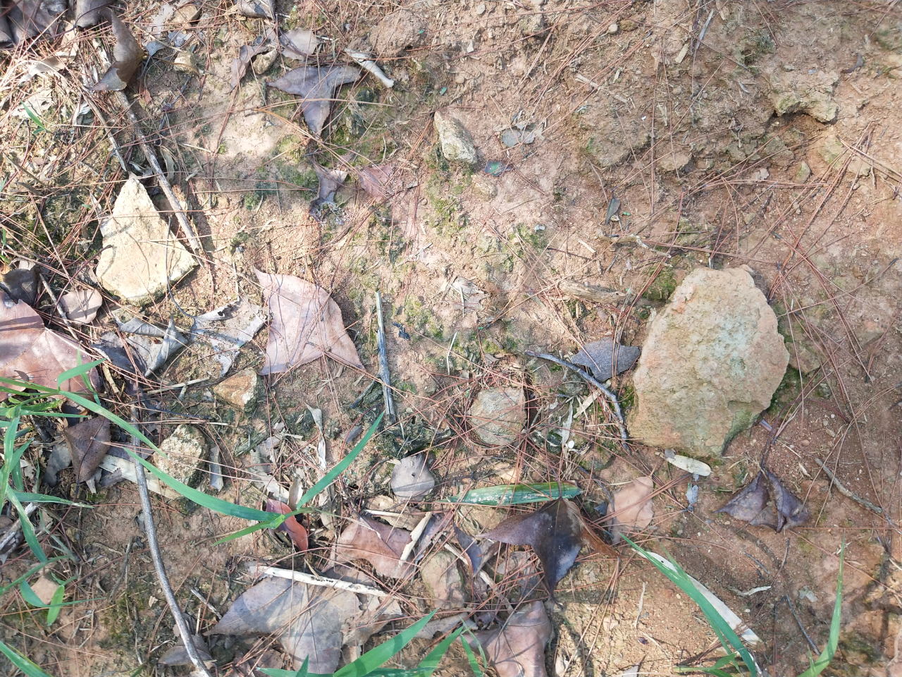 洮阳古城在哪里,洮阳城遗址