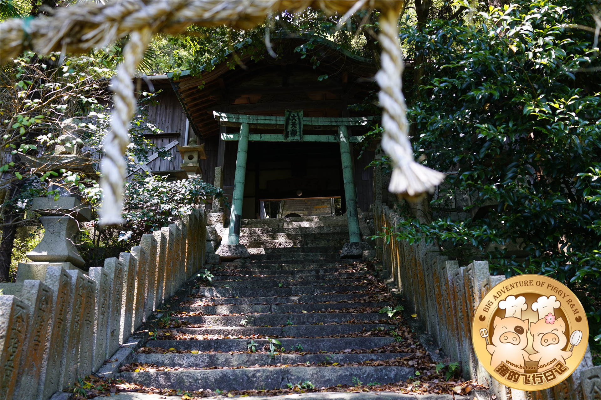 被铲屎官惊到的喵星人,让铲屎官瑟瑟发抖的喵星人