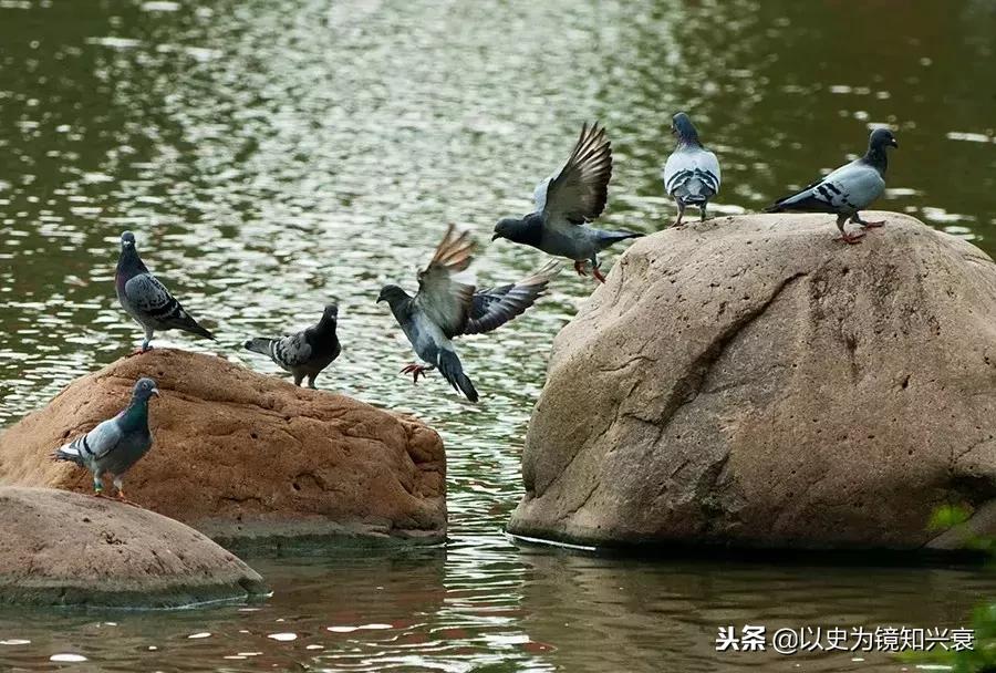 余生不想跟任何人争辩,余生不想与人争辩