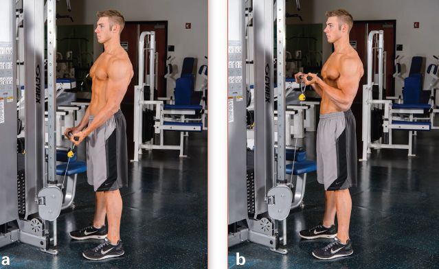 增肌一周各部位训练计划表,增肌训练计划每天练习不同部位