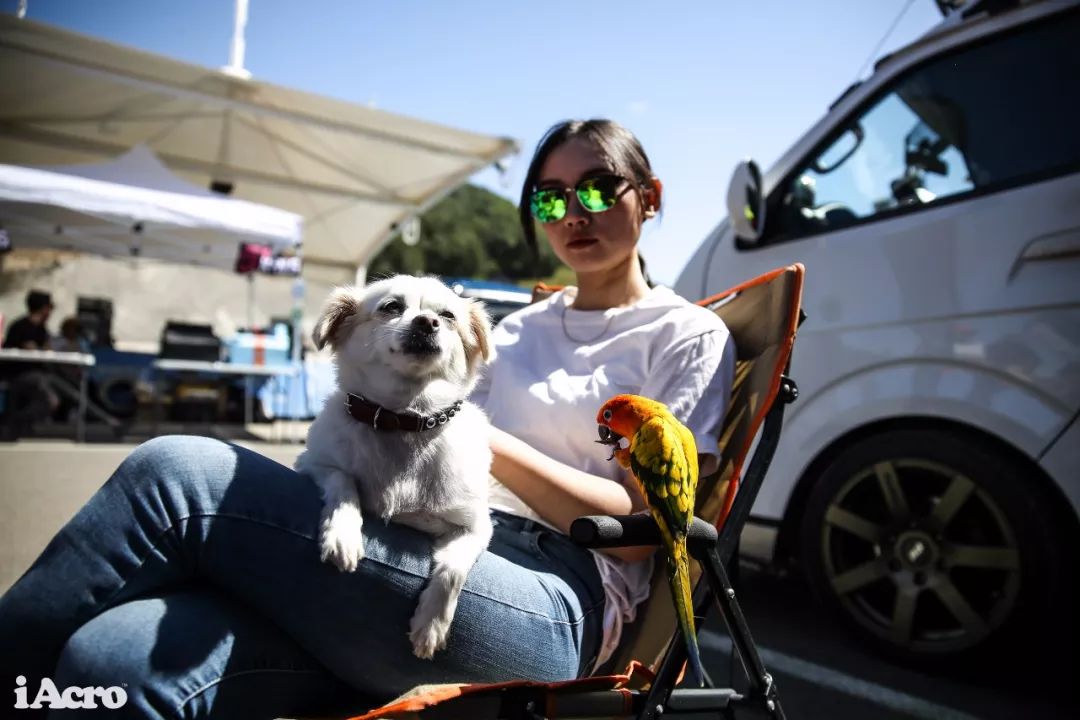 宾至如归iAcroParty张家口站活动纪实