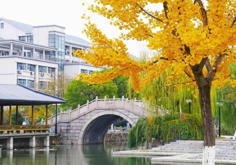 江苏低调的211,江苏信息工程大学是野鸡大学吗