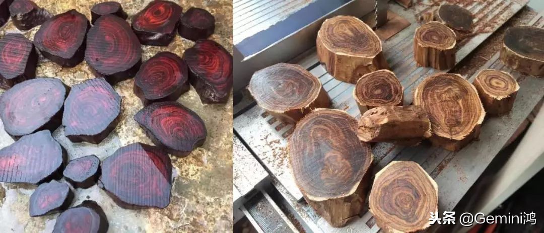 怎么分辨黄花梨手串真假,黄花梨怎么分辨真假