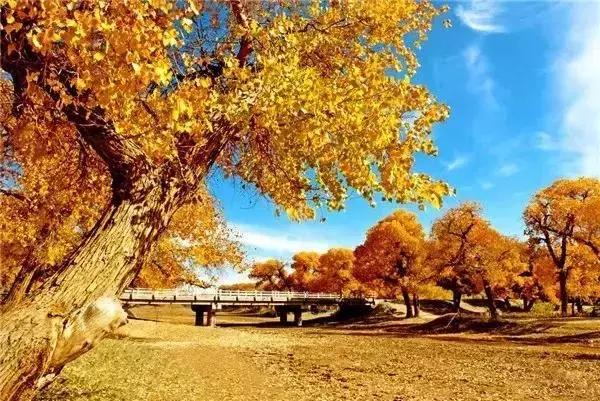 今天，推荐 5 个值得去的地方！