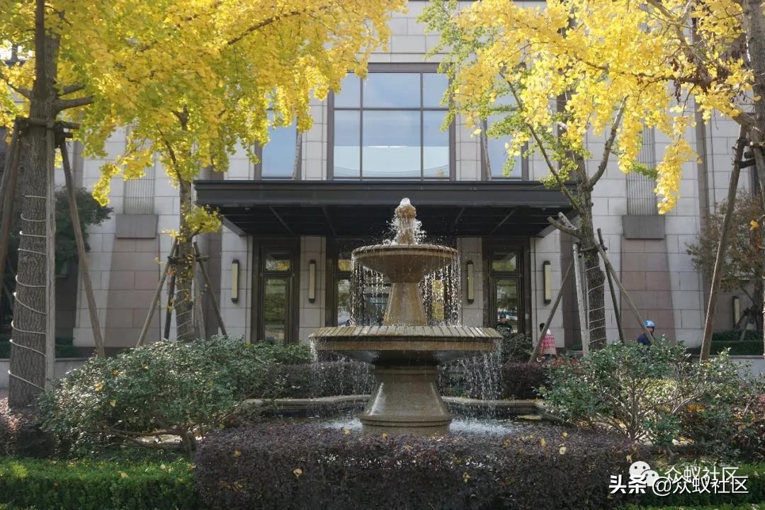 我在上海参与业委会的两年经历！事实证明没一个人了解业委会