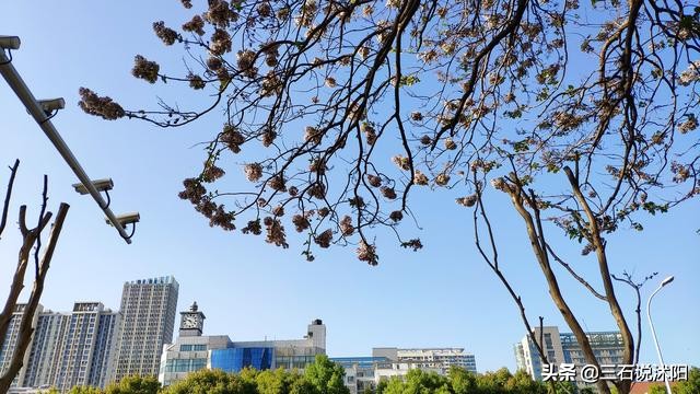 沭阳有4个“大本钟”,三石很纠结,你最喜欢哪一个?