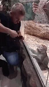 搞笑GIF段子:.我的小萝莉呢?你还我的小萝莉