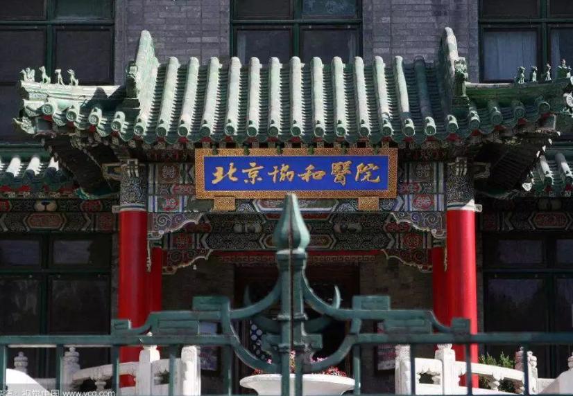 同样是护理专业，本科和专科之间的差距有多大，学生尽量早了解