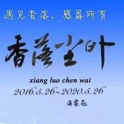 晚会视频回顾,晚会节目实录