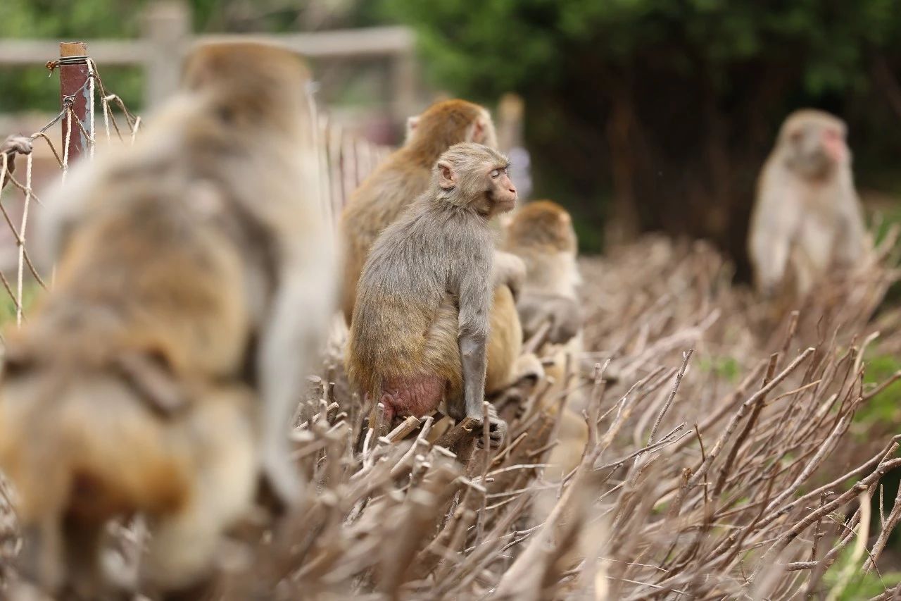 如何跟团自驾南太行挂壁公路,自驾南太行可以不走挂壁公路不