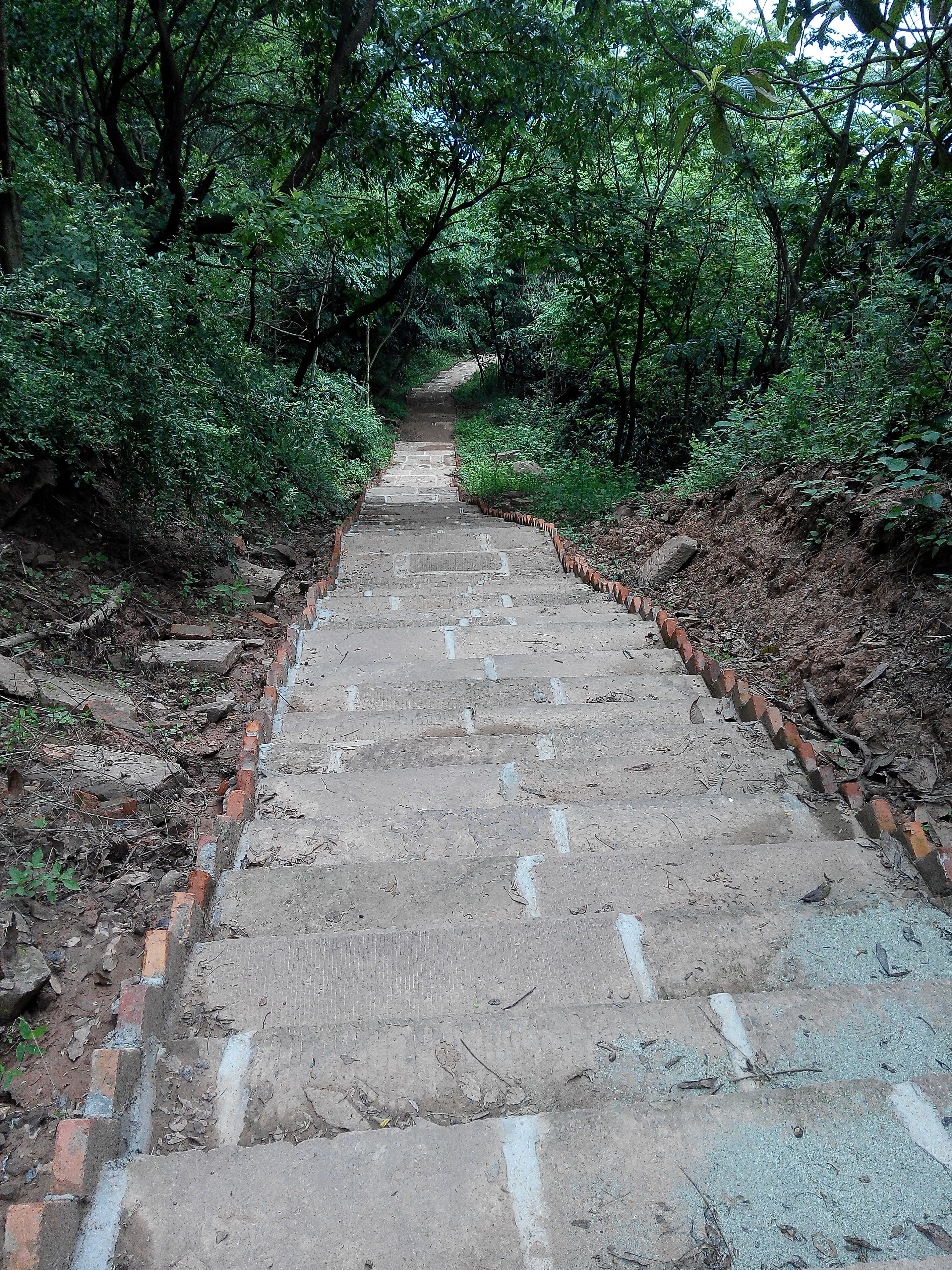 龙泉龙椅山植物园一日游,成都龙泉山最佳观景地方